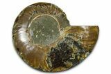 Cut & Polished Ammonite Fossil (Half) - Madagascar #377603-1